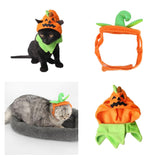 Maxbell Halloween Pumpkin Cat Hat Small Pet Dog Ornament Halloween Trick Treat Cap 1