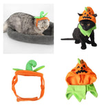 Maxbell Halloween Pumpkin Cat Hat Small Pet Dog Ornament Halloween Trick Treat Cap 1