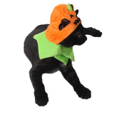 Maxbell Halloween Pumpkin Cat Hat Small Pet Dog Ornament Halloween Trick Treat Cap 1