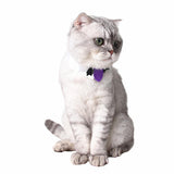 Maxbell 2Pcs Pet Bowtie Dog Cat Adjustable Bow Tie Neck Tie Pet Costume Collar Bat