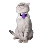 Maxbell 2Pcs Pet Bowtie Dog Cat Adjustable Bow Tie Neck Tie Pet Costume Collar Bat