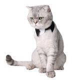 Maxbell 2Pcs Pet Bowtie Dog Cat Adjustable Bow Tie Neck Tie Pet Costume Collar Elf
