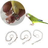 Maxbell Pet Bird Leash Parrot Foot Chain Stainless Steel Training Anklet Ring 07