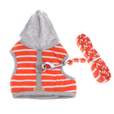 Maxbell Pet Cat Kitten Adjustable Harness Walking Lead Leash Chest Strap  Orange S