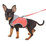 Maxbell Pet Cat Kitten Adjustable Harness Walking Lead Leash Chest Strap  Orange S