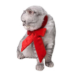 Maxbell Dog Cat Big Bow Tie Adjustable Bowtie Necktie Collar Puppy Accessory Red M