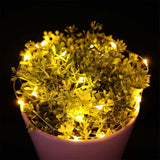 Max Multi-function Button Battery Copper Wire Lamp Festival Wedding Warm White