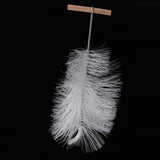 Maxbell Wooden Grips Bottle Brush Bird Water Fountain Cleaning Nylon Bristle Brush
