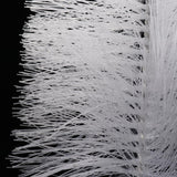 Maxbell Wooden Grips Bottle Brush Bird Water Fountain Cleaning Nylon Bristle Brush