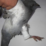 Maxbell Pet Bird Supplies Birds Leg Fracture Clip Protector Straight Type Leg Ring