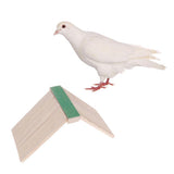Maxbell Bird Pigeon Supplies with Claws Teeth Care Rod Activity Frame Exercise Toy
