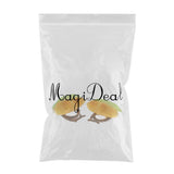 Max New Designed Fruited Cup Bird Feeder Food Water Bowl For Small Parrots Finch Corn