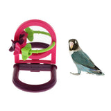 Max New Designed Fruited Cup Bird Feeder Food Water Bowl For Small Parrots Finch Wheel