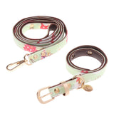 Maxbell Strong Leather Rope Dog Leash Collar Set for Walking Hiking Light Green L