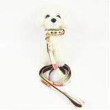 Maxbell Strong Leather Rope Dog Leash Collar Set for Walking Hiking Light Green L