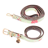 Maxbell Strong Leather Rope Dog Leash Collar Set for Walking Hiking Light Green L