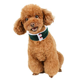 Maxbell Halloween Christmas Pet Scarf Dog Cat Neckerchief Collar Green L