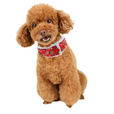 Maxbell Halloween Christmas Pet Scarf Dog Cat Neckerchief Collar Tang Suit Red L