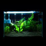 Maxbell Aquatic Plant Crystal Acrylic Cup Pot for Aquarium Fish Tank Plant Holder