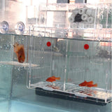 Maxbell Plastic Aquarium Young Fish Breeding Hatchery Incubator Isolation Box Clear