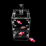 Maxbell Arcylic Aquarium Isolation Separation Incubating Box Young Fish Breeding Box