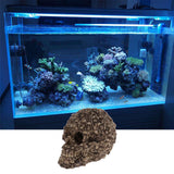 Max Aquarium Decorative Resin Skull Crawler Dragon Lizards Fish Tank Decoration 1