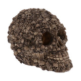 Max Aquarium Decorative Resin Skull Crawler Dragon Lizards Fish Tank Decoration 1