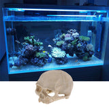 Max Aquarium Decorative Resin Skull Crawler Dragon Lizards Fish Tank Decoration 5