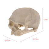 Max Aquarium Decorative Resin Skull Crawler Dragon Lizards Fish Tank Decoration 5