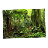 Maxbell Aquarium Background Poster - Fish Tank Vivid Backdrop Decorations Frost S
