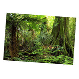 Maxbell Aquarium Background Poster - Fish Tank Vivid Backdrop Decorations Frost S
