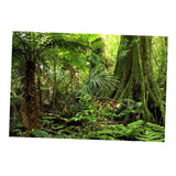 Maxbell Aquarium Background Poster - Fish Tank Vivid Backdrop Decorations Frost L