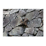 Maxbell Aquarium Fantasy Background Poster - Fish Tank Vivid Backdrop Decorations Stone S