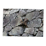 Maxbell Aquarium Fantasy Background Poster - Fish Tank Vivid Backdrop Decorations Stone S