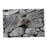 Maxbell Aquarium Fantasy Background Poster - Fish Tank Vivid Backdrop Decorations Stone S