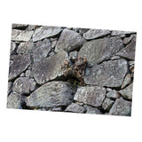 Maxbell Aquarium Fantasy Background Poster - Fish Tank Vivid Backdrop Decorations Stone S