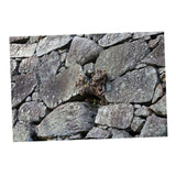Maxbell Aquarium Fantasy Background Poster - Fish Tank Vivid Backdrop Decorations Stone S