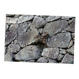Maxbell Aquarium Fantasy Background Poster - Fish Tank Vivid Backdrop Decorations Stone L