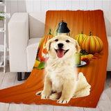 Maxbell Pet 3D Digital Dog Cat Blanket, Snuggle Cozy Flannel Puppy Cushion Sleep Mat Pumpkin 2