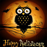 Maxbell Pet Dog Cat Mat 3D Digital Printing Blanket Cushion Pad Halloween Owl