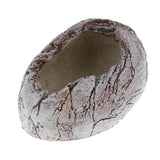 Maxbell Pet Feeder Bowl Basin Resin Non-toxic Food Water Pot for Reptile Turtle 01