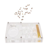 Maxbell Clear Ant Housing Acrylic Nest Ant Feed Farm Formicarium Box 13 x 10 x 2cm