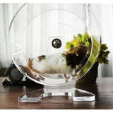 Maxbell Small Pet Toy Runner Hamster Hedgehog Running Wheel Exercise For Hamster L