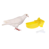 Maxbell 20 Pcs Bird Pigeon Long Automatic Drinking Water Fountain Cage Feeder