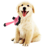 Maxbell Self Cleaning Slicker brush for Pet Grooming Cat and Dog Long and Thick Hair