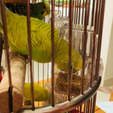 Maxbell Pet Bird Parrot Clean Cup Feeder and Water Feeding Bowl Birds Cage Accessory 2