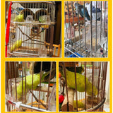 Maxbell Pet Bird Parrot Clean Cup Feeder and Water Feeding Bowl Birds Cage Accessory 3