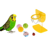 Maxbell Parrot Bird Training Toy Parakeet Basketball Hoop Trick Prop Plastic Ball