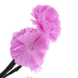Max Novelty Bonsai Flower Tree LED Mood Light Table Lamp Night Light Decor 1