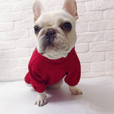 Maxbell Christmas Apple Dress Pet Costume Dog Puppy Fashion Cute Sweatshirt  M